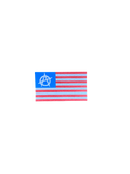 ANARCHY COMPANY II PATCH